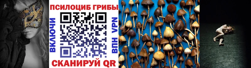 Псилоцибиновые грибы Magic Shrooms  Каменка 