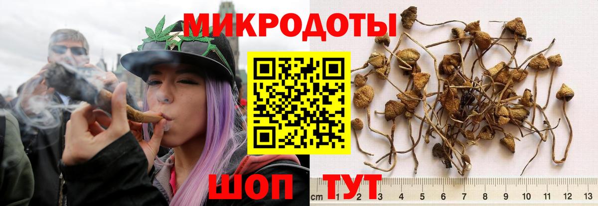 Псилоцибиновые грибы мухоморы Каменка